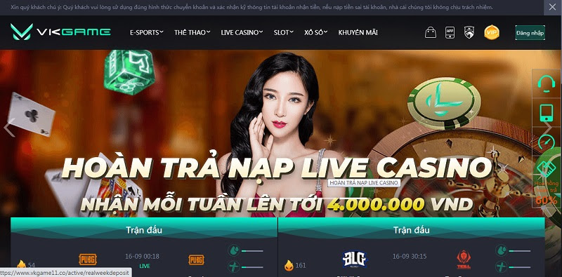 Những ưu đãi đặc biệt tại nhà cái cá cược Vkgame